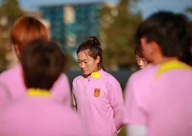 白孟宸指出，电影是“20年代30年代各地中国人抗日行动的一个历史切片”。