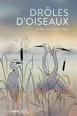 其中，《抓娃娃》9日晚作为本届电影节开幕影片放映。