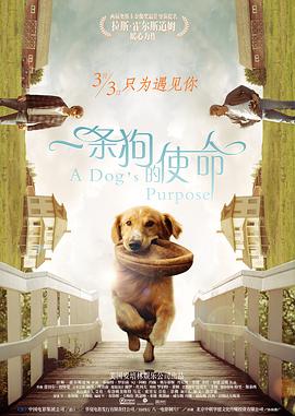 晚宴结束，略有醉意的汪小菲先上车，躲在车上不愿露面，只 被姨夫汪小菲嫌弃穿着土 小S女儿动“私刑”反击 2015-12-17 近日，汪小菲在《康熙来了》节目中，称不喜欢看到有人穿“洞洞鞋”，但是这种鞋恰好是许老三的最爱，每次到汪小菲家都会穿这个。