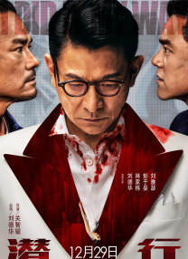 他亲历两岸寻亲近40载，以见证者之眼，带观众和读者穿透光影，重塑那段被岁月尘封的乡愁史诗。