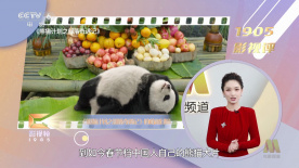 史泰龙、斯坦森齐亮相 共谋新片硬汉形象重现 2014-03-13 3月10日在加利福尼亚州，硬汉西尔维斯特·史泰龙与杰森·斯坦森齐亮相，并与家人共进晚餐。